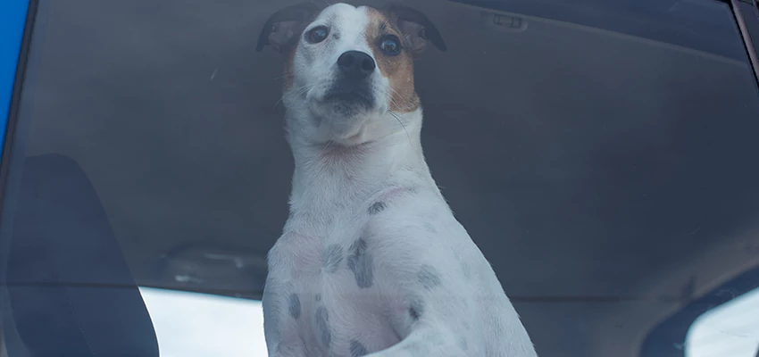 Car Lockout Solutions in Carpinteria, California